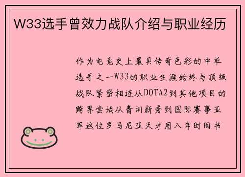 W33选手曾效力战队介绍与职业经历